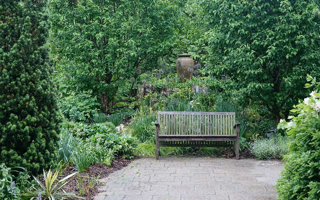 Bench in garden with green trees