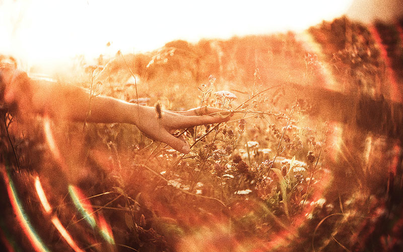 Woman reaching out hand and touching tall grass