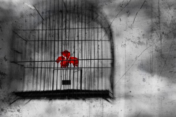 Feeling Stuck in Life