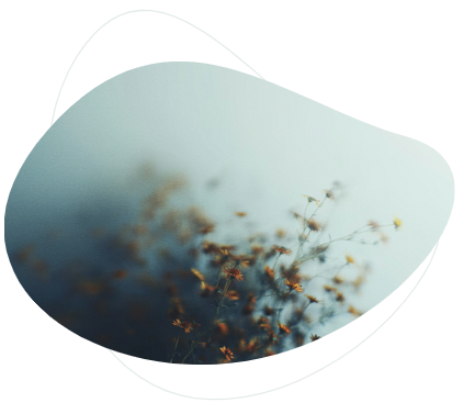 Hypnotherapist Seattle